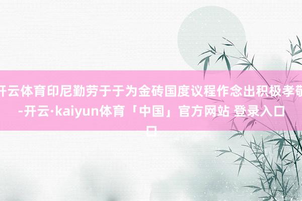 开云体育印尼勤劳于于为金砖国度议程作念出积极孝敬-开云·kaiyun体育「中国」官方网站 登录入口