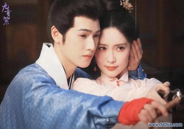 媒体评《九重紫》 黑马逆袭典范