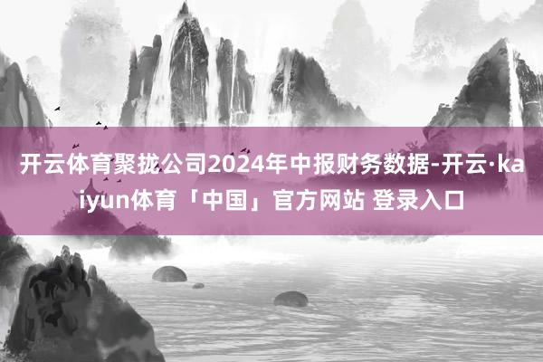 开云体育聚拢公司2024年中报财务数据-开云·kaiyun体育「中国」官方网站 登录入口